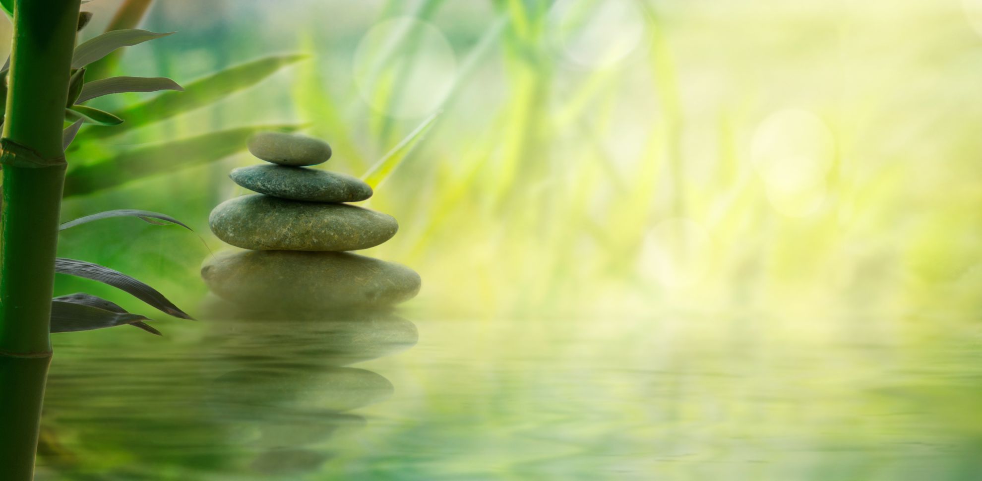 Natural green healthcare background